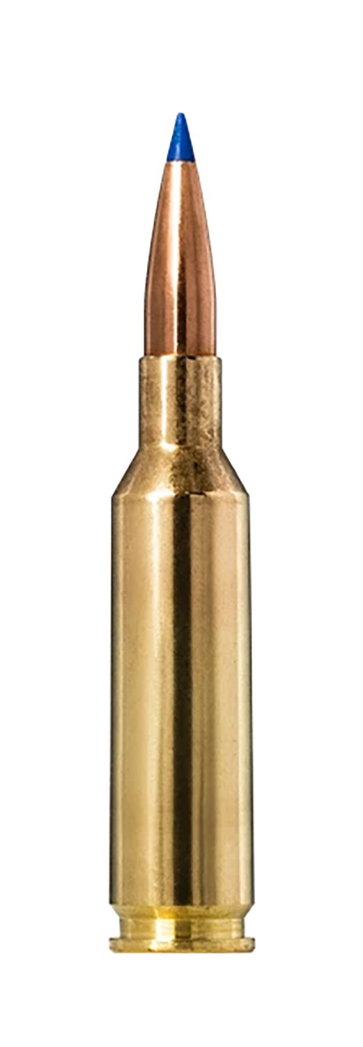 Buy Norma Ammunition 20160492 Bondstrike 6mm 105gr 20 Per Box/10 Case online