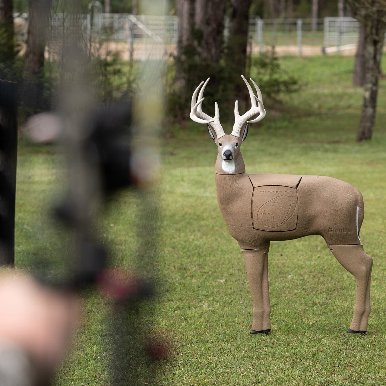 GlenDel G75000 Full-Rut Buck Target, Polyfusion Tech, 34" Shoulder Height