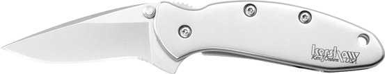 Kershaw 1600 Chive 1.9" Drop Point Pocketknife Silver Steel Blade - Kershaw - DROP POINT