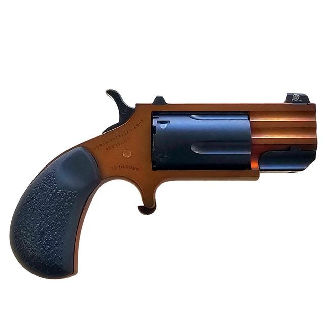 NAA NAA-PUG-D .22WMR Revolver, 1" Barrel, 5-Shot, Stainless - NAA - .22WMR