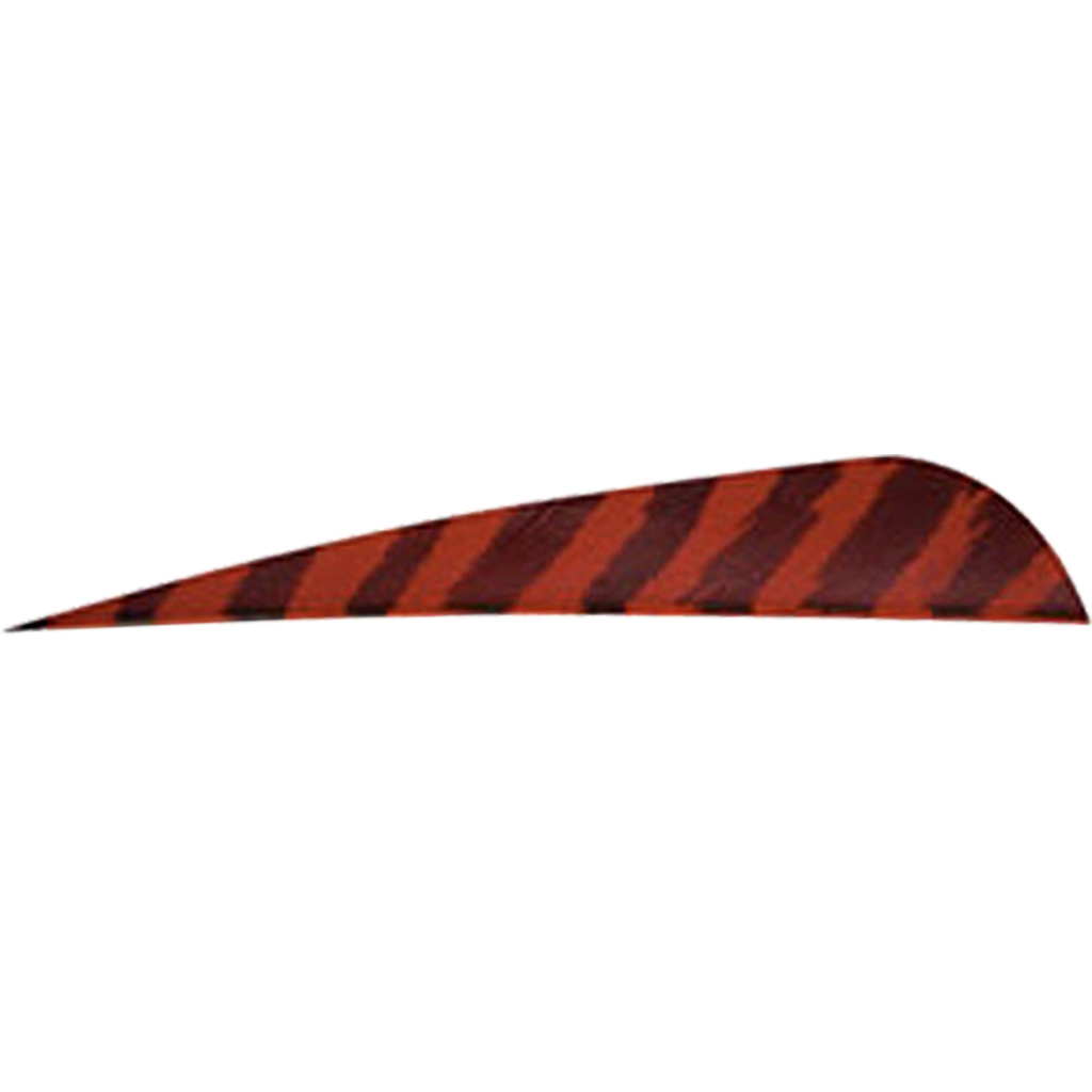 Gateway 400RPBRD-50 Barred Feathers Red 4 In RW 50 Pack
