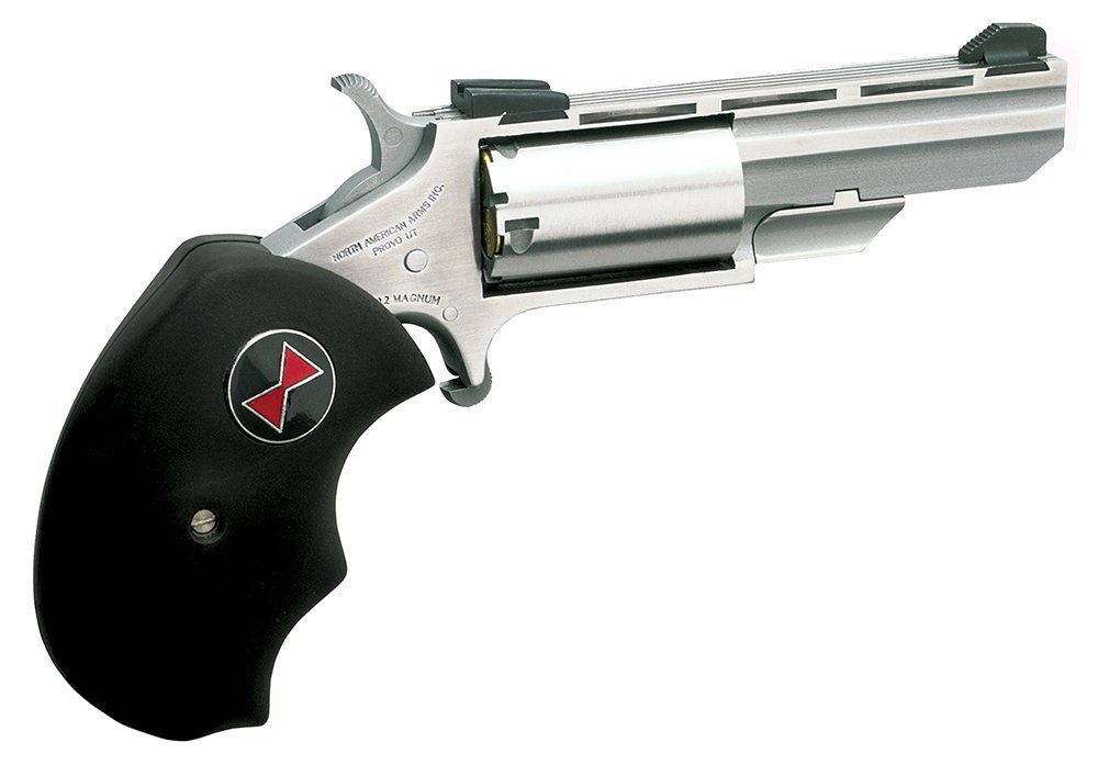 NAA Black Widow 22 LR Revolver 2" Stainless 5rd - NAA - 22 LR