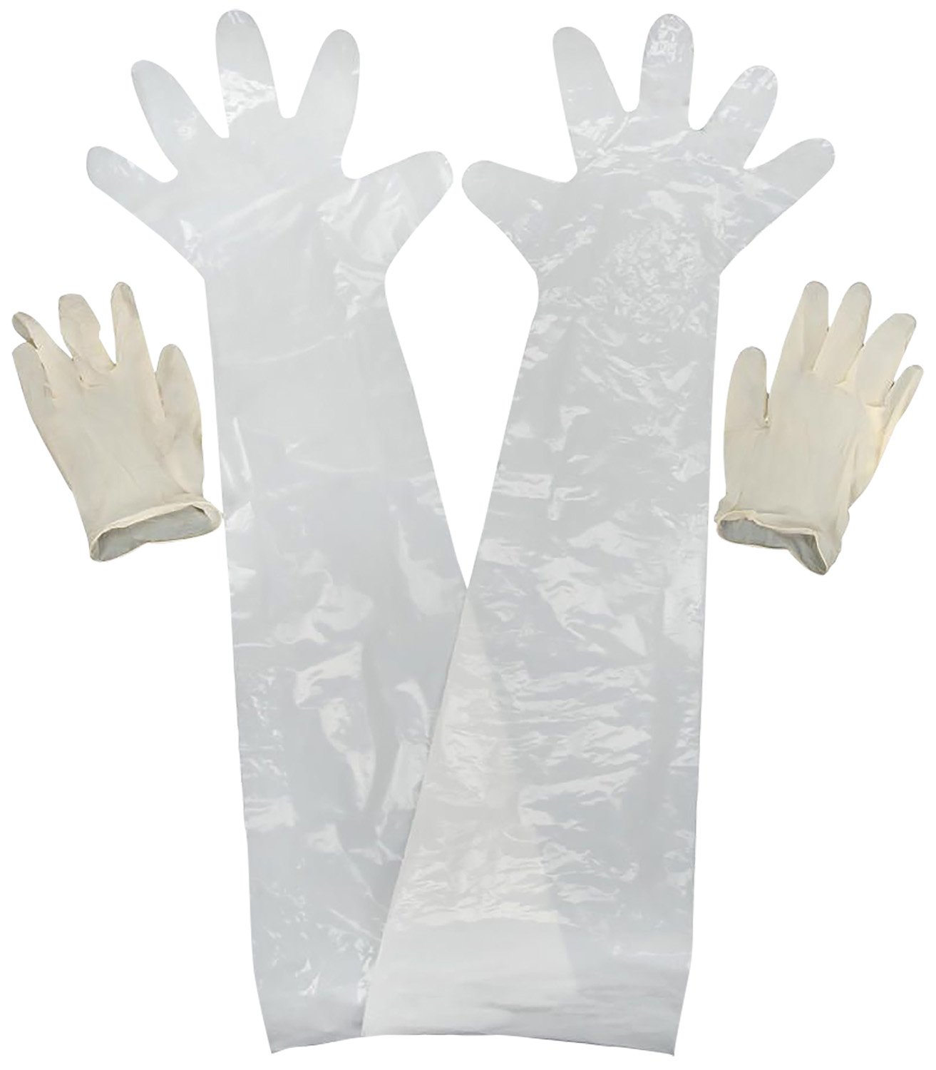 Allen 51 Field Dressing Gloves Clear Latex 2 Pack Wrist Shoulder Length