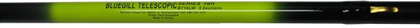 HICKS BLUEGILL 4S-14' TELE POLE                            