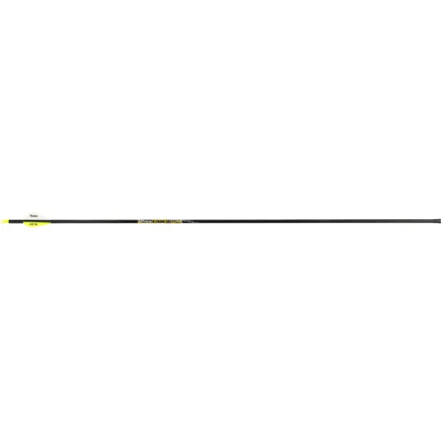 Victory RIPAE-300FB-6 Arrows 300 2" Vanes 6pk, ICE Coating, AAE Nocks - Victory Archery