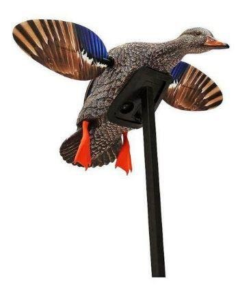 Buy MOJO Outdoors HW2471-3P Mini Mallard Hen Decoy, Elite Series, Spinning Wing online