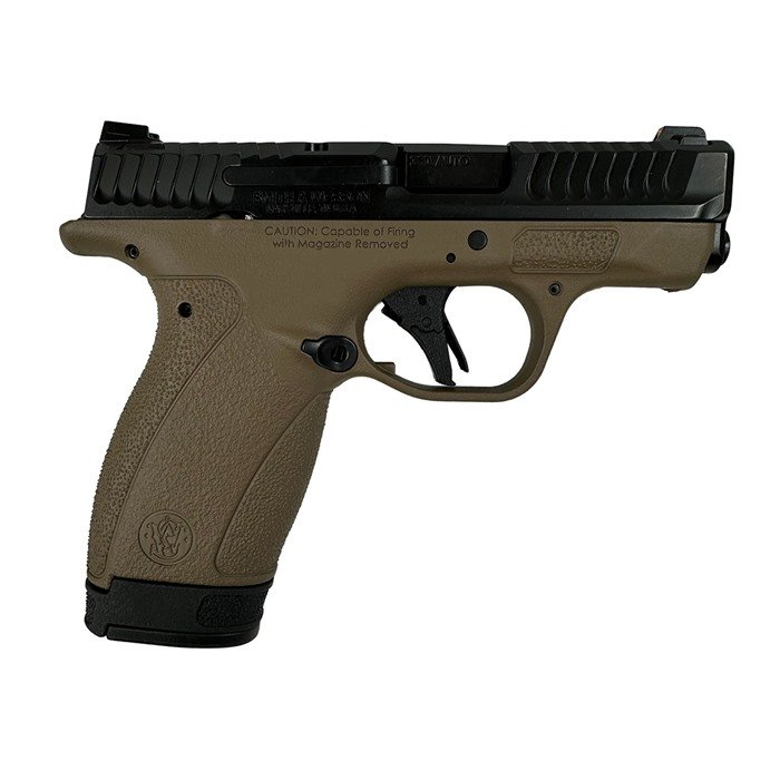 Smith & WESSON BODYGUARD 2.0 380ACP (1)10&(1)12 MAGS NTS FDE