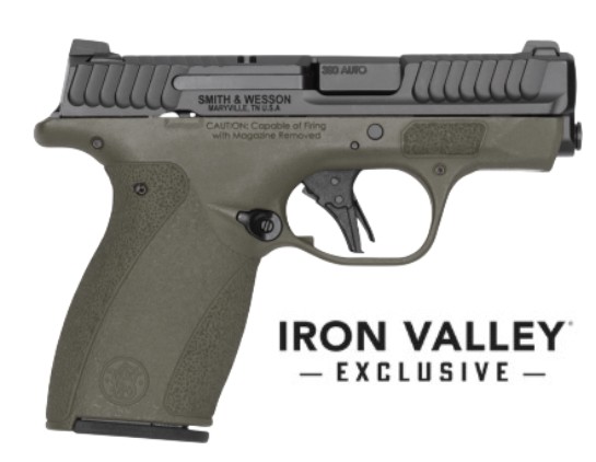 S&W 14818 .380 ACP M&P Bodyguard 2.0 380ACP 2.75" NTS ODG 10/12 IVS