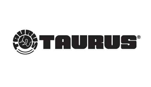 Taurus GX2 TORO Pistol 9mm 3.38 in. Cyan/Stainless 13 rd.