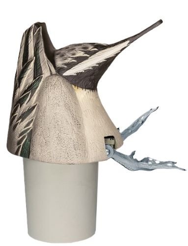 AVIAN X POWER BUTT KICKER PINTAIL