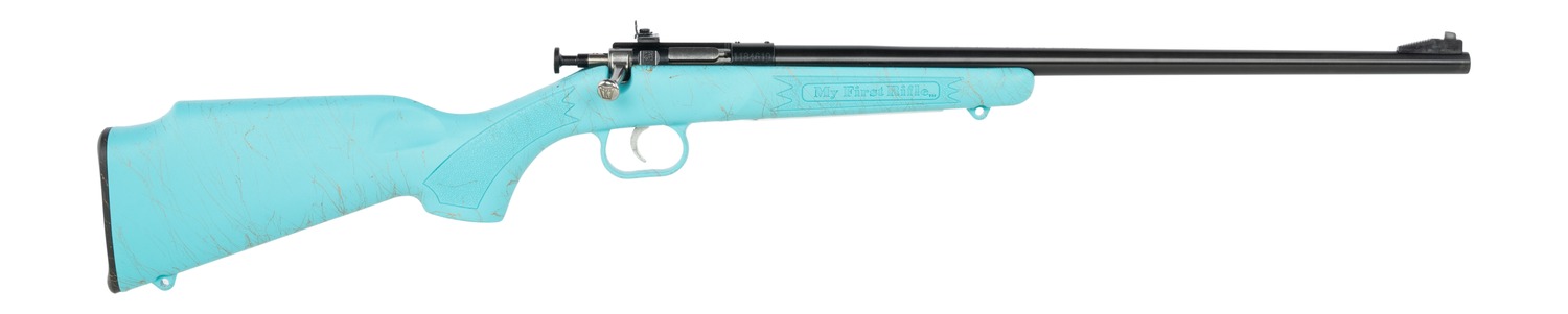Buy Keystone Crickett Rifle 22 LR 16.1 in. Blued/Blue w/Gold Web online