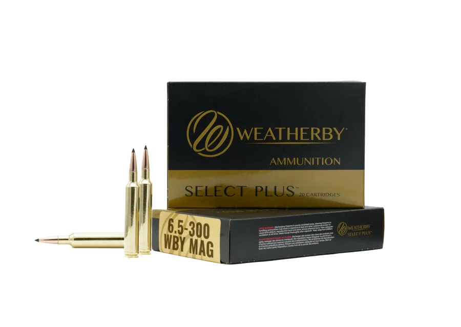 Buy Weatherby M653129HCB 6.5-300WBY 129G Hammer Custom Ammo 20 Rounds online