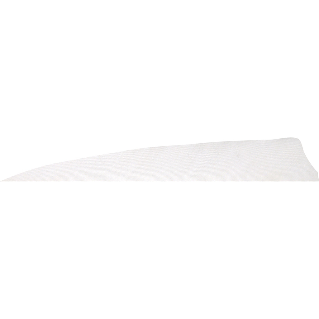 Gateway 400LSSFW-50 Shield Cut Feathers Flo White 4in LW 50pk