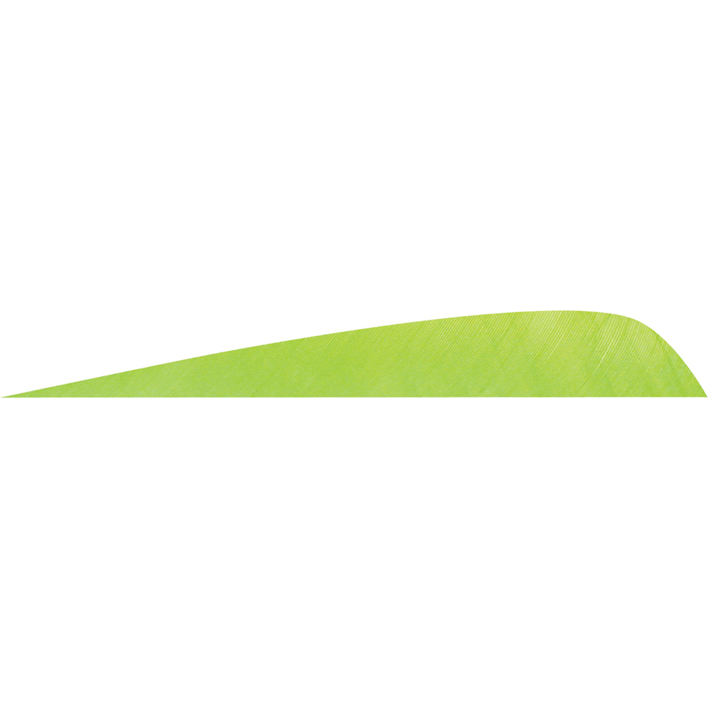 Gateway 400RPSCH-50 Parabolic Feathers Chartreuse 4" RW 50 Pack