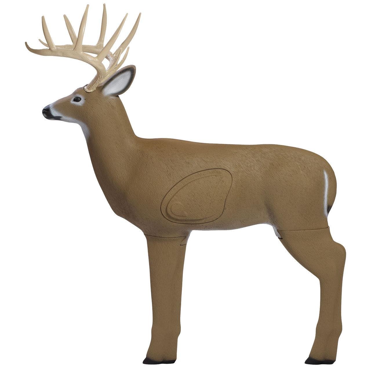 Buy Shooter G71610 Crossbow Buck Target, High Density Insert, 3-D Vitals online