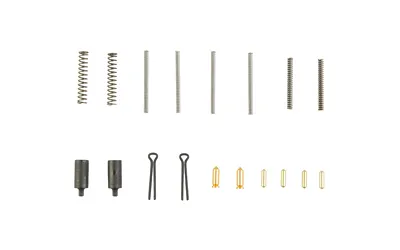 XTS Oops Kit AR15 Replacement Parts Black Trigger Springs Pins Firing Pins
