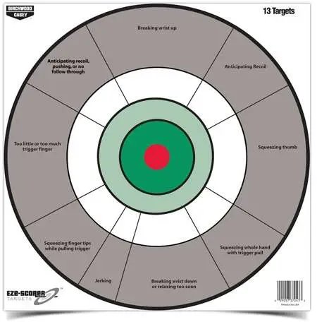 Birchwood Casey EZE-Scorer 12" Handgun Trainer Target 13/pack 37245 - Birchwood Casey