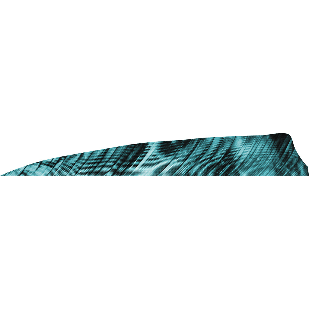 Gateway 400RSTBL-50 Shield Cut Feathers, Tre Blue, 4in, 50 Pack