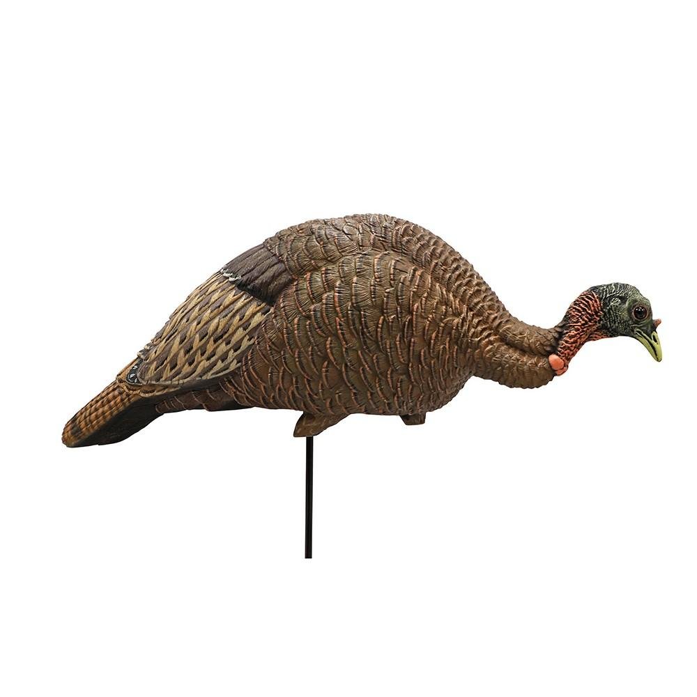 Buy MOJO HW2539 Feeder Breeder Hen Turkey Decoy, Multi-Position, Durable EV/PE online