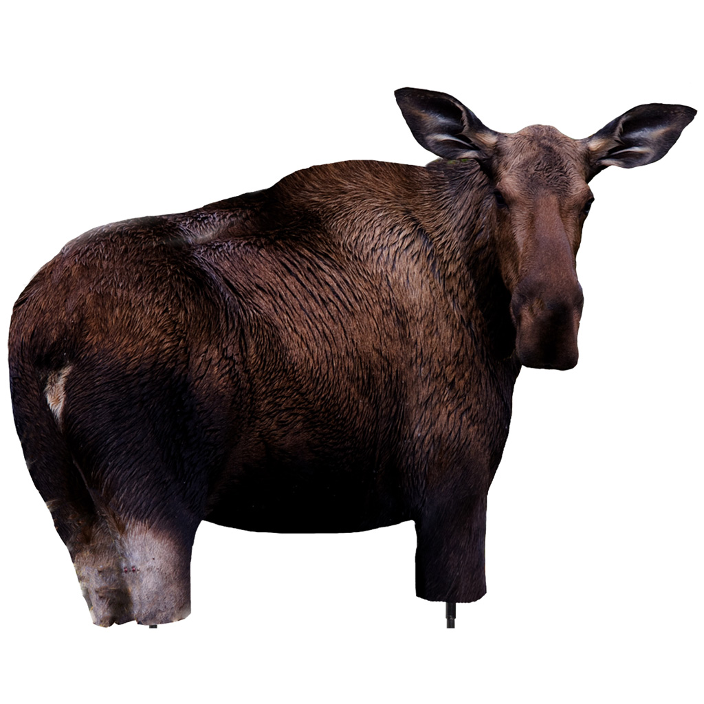 Montana Decoy Moose II 39 Darker Body, New Pose, Quick Setup