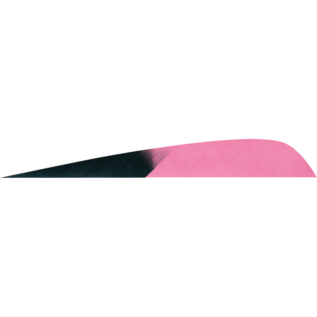 Gateway 400LPKFP-50 Parabolic Feathers Kuro Pink 4in LW 50pk