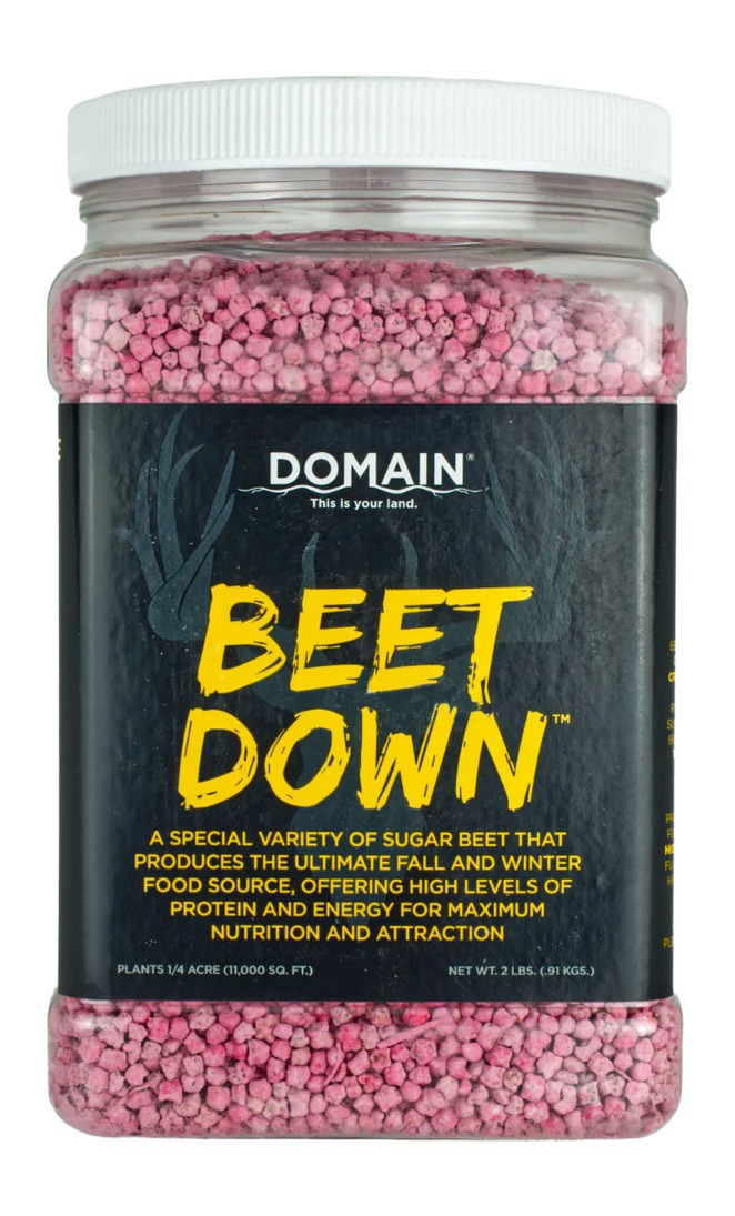 Domain BDFP2 Beet Down Seed 1/4 Acre, 2 lbs, Coated for High Yield