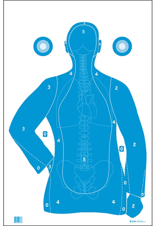 Buy Action Target FB21EANTAV2100 Qualification Silhouette/Vitals Paper Hanging 23" x 35" Blue/White 100 Per Box online