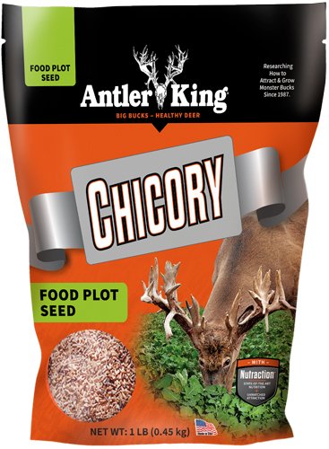 Buy Antler King Chicory Seed 1/4 Acre online