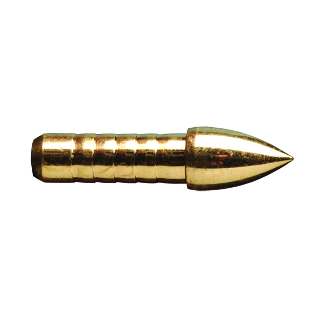 Buy Gold Tip GLU24610012 Glue-In Points .246 100gr 12-Pack online
