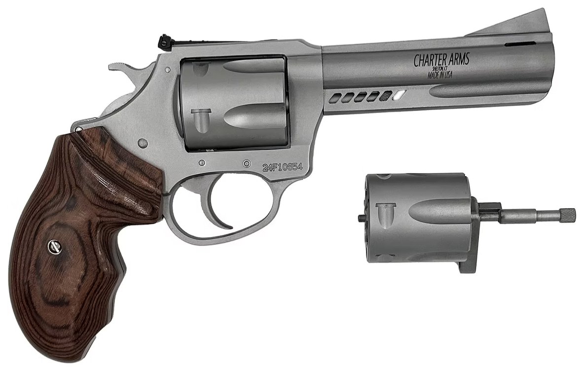 Buy Charter Arms 73942 Revolver Double Dog 357/9MM 4.2" Stainless/Walnut online