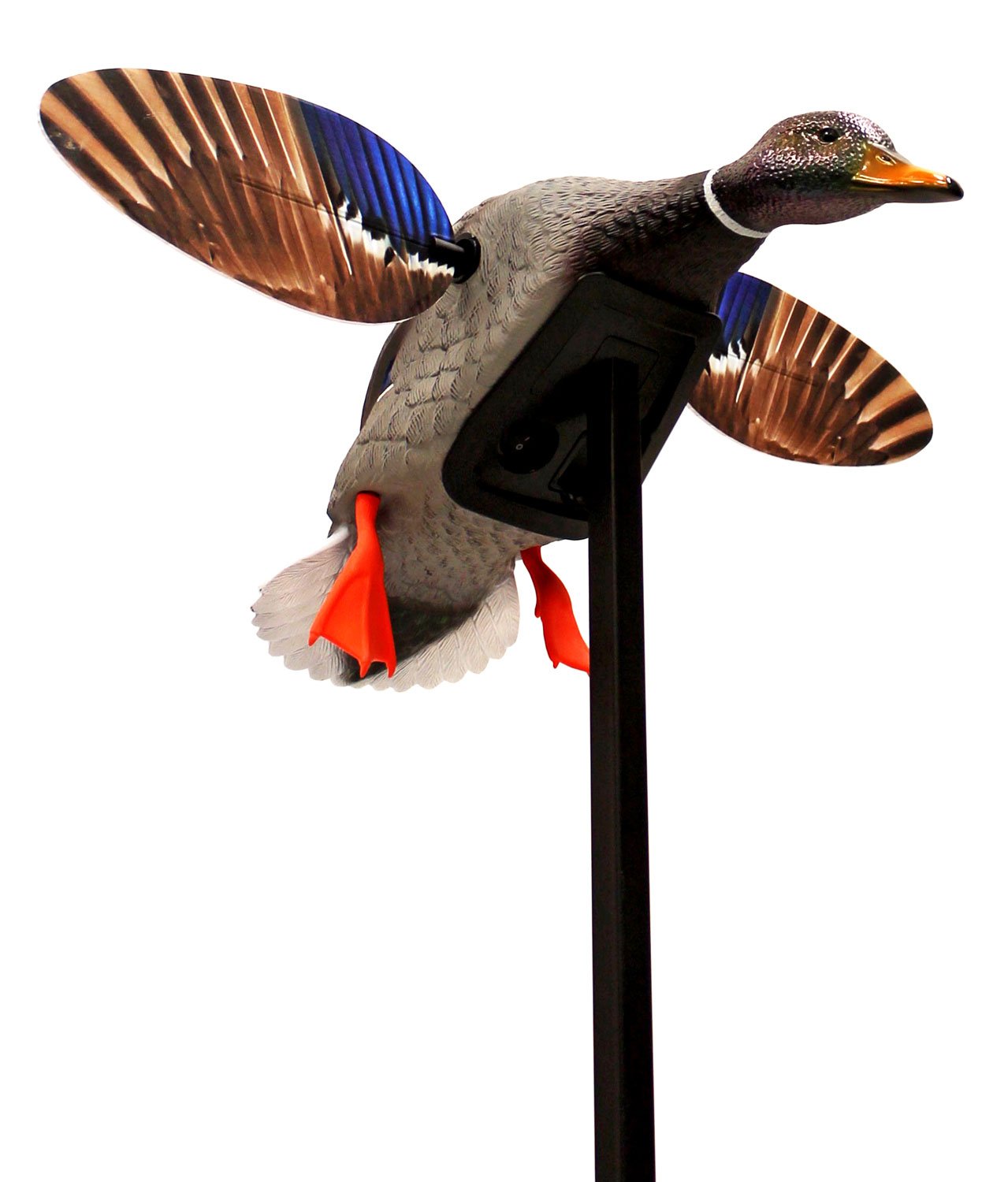 Buy Mojo Outdoors HW24703P Elite Mini Mallard Drake Decoy Multi-Color Plastic online