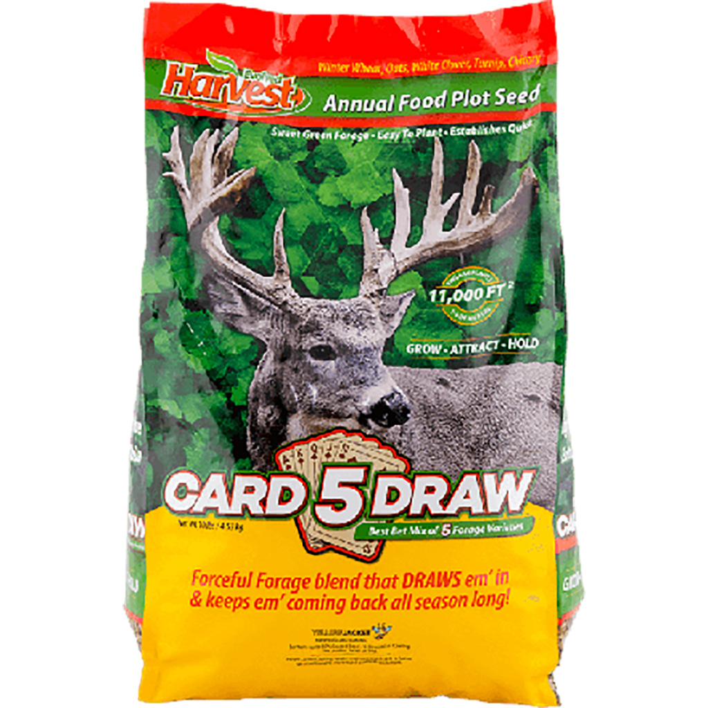 Evolved EVO73028 5 Card Draw Seed 10 lb Mix: Oats, Clover, Turnip, Chicory
