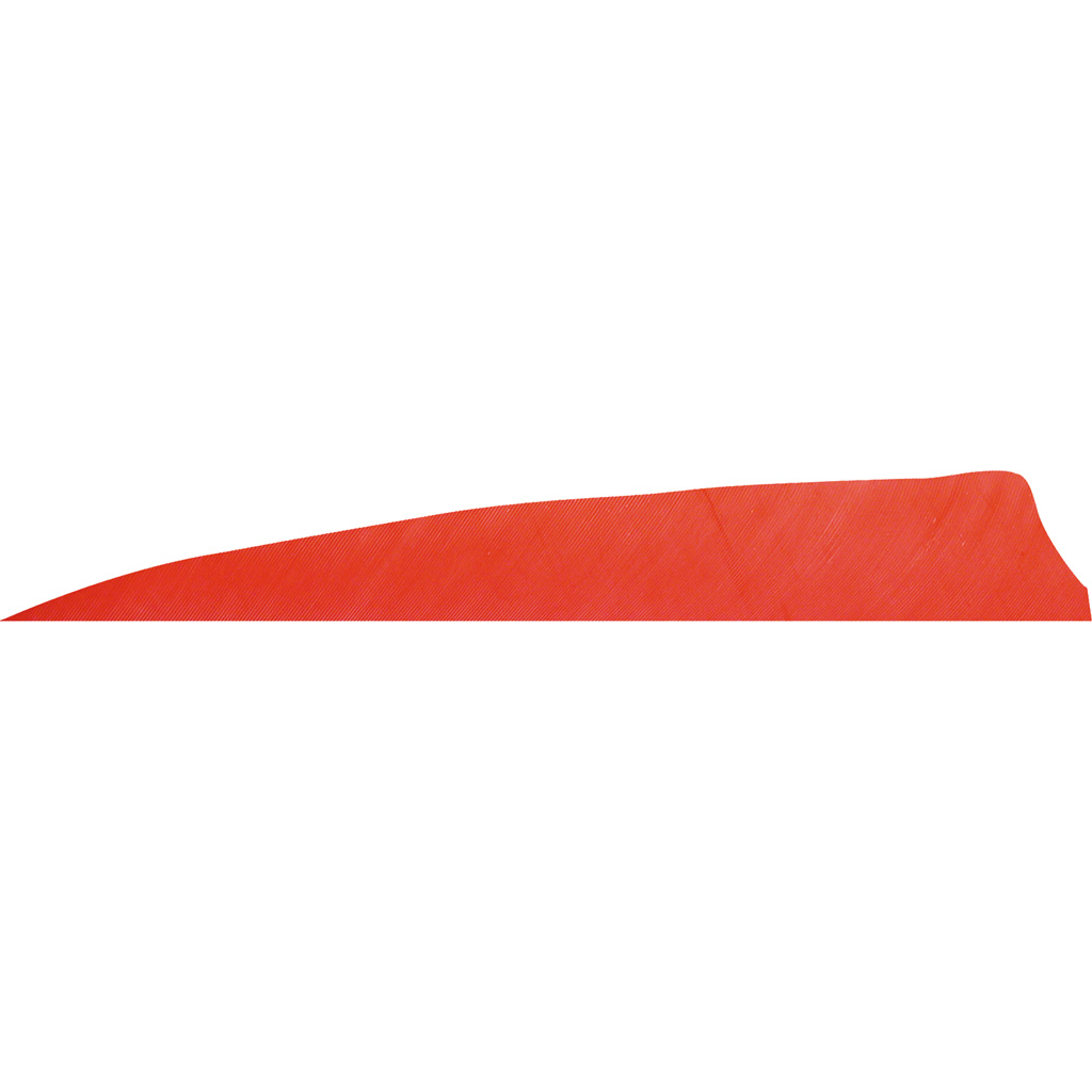 Gateway 400RSSRR-50 Shield Cut Feathers Red 4" RW 50pk 2.76 Grains