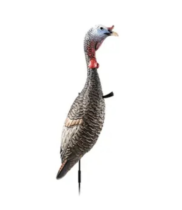 Flextone FLX-FLXDY330 Funky Chicken Gen 2 Turkey Decoy, Durable & Realistic