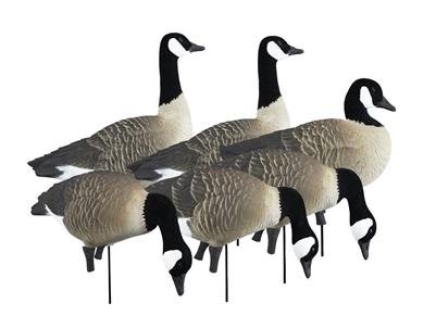 Higdon Outdoors 72237 APEX Full-Size Canada Goose Decoy Variety Pack