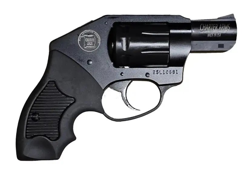 Charter Arms WALKER The Walker 22LR Concealed Hammer/ Shrouded Ejector Rod 8 2 Black Passivate