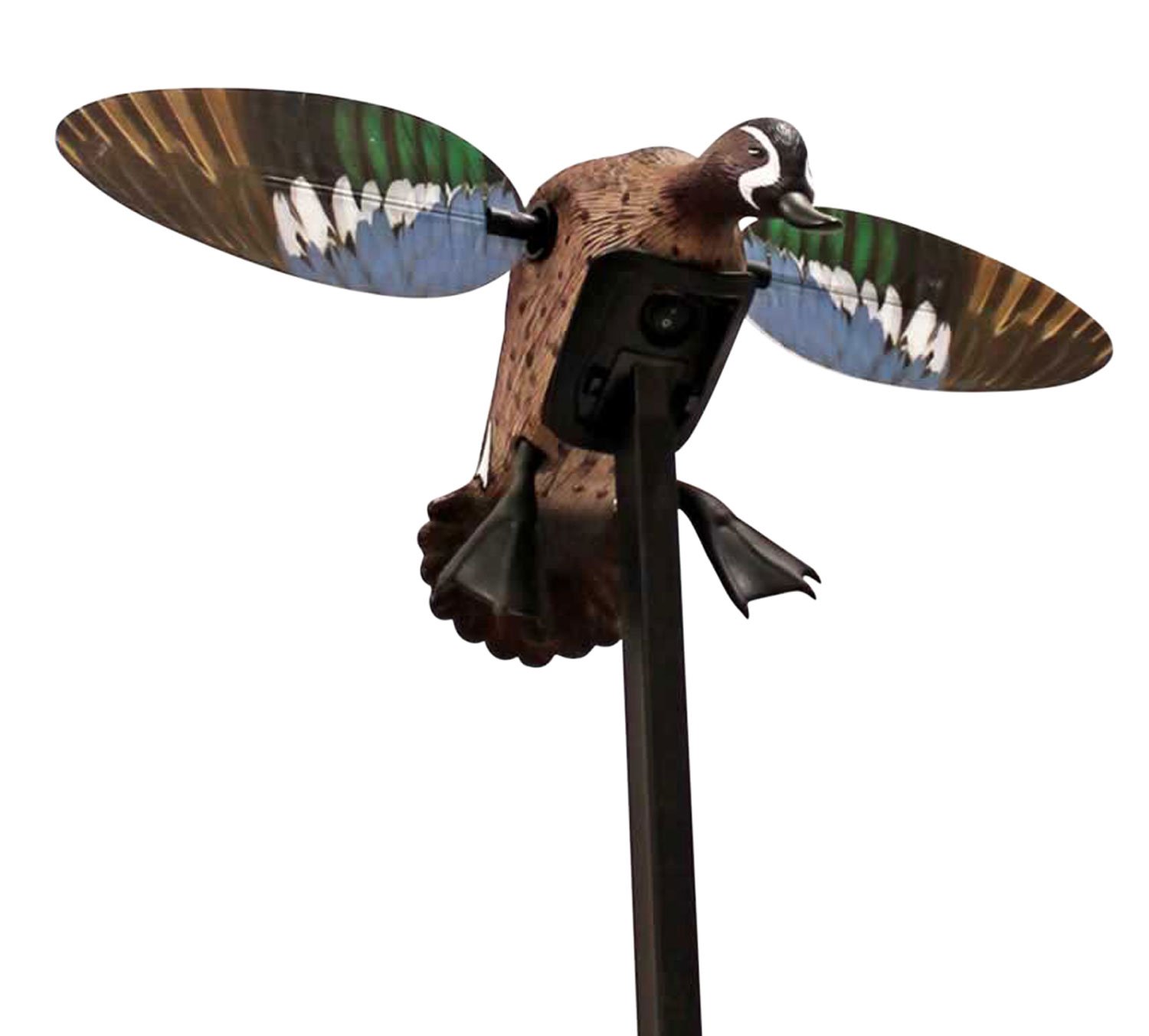 Buy Mojo Outdoors HW24753P Elite Series Blue Wing Teal Decoy with Remote Control online