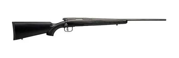 Buy Savage BMag 17 WSM Bolt Action 22 in Black Synthetic 8 Round Capacity online