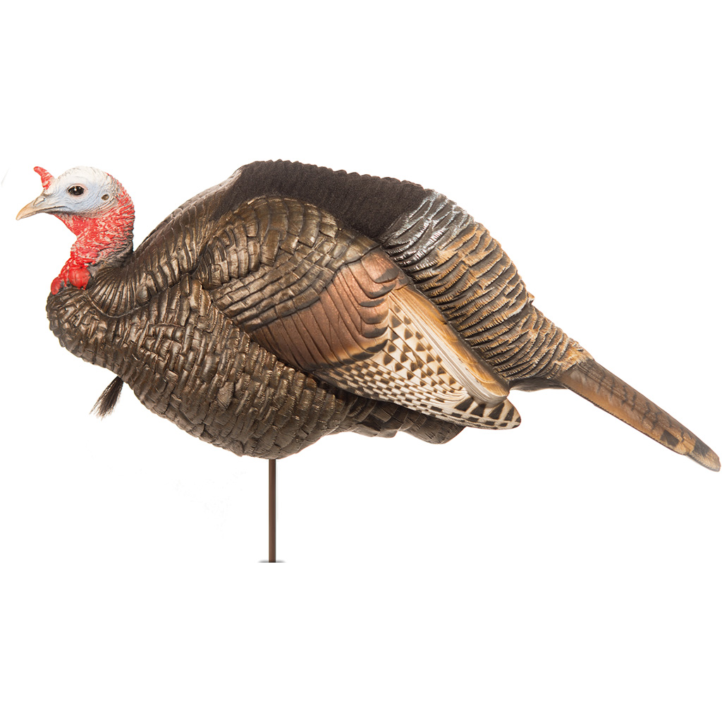 Dave Smith Decoys 3/4 Strut Jake Decoy, Lightweight, Durable Resin