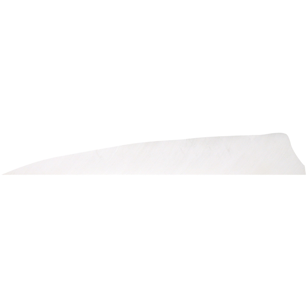 Gateway 400RSSFW-100 Shield Cut Feathers White 4" RW 100 Pack