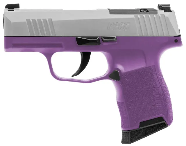 SIG SAUER 365-9-TXR3-PR P365 9mm 3.1" Stainless Steel Semi-Auto Pistol - Sig Sauer - 9mm Luger for sale at TheGunDock