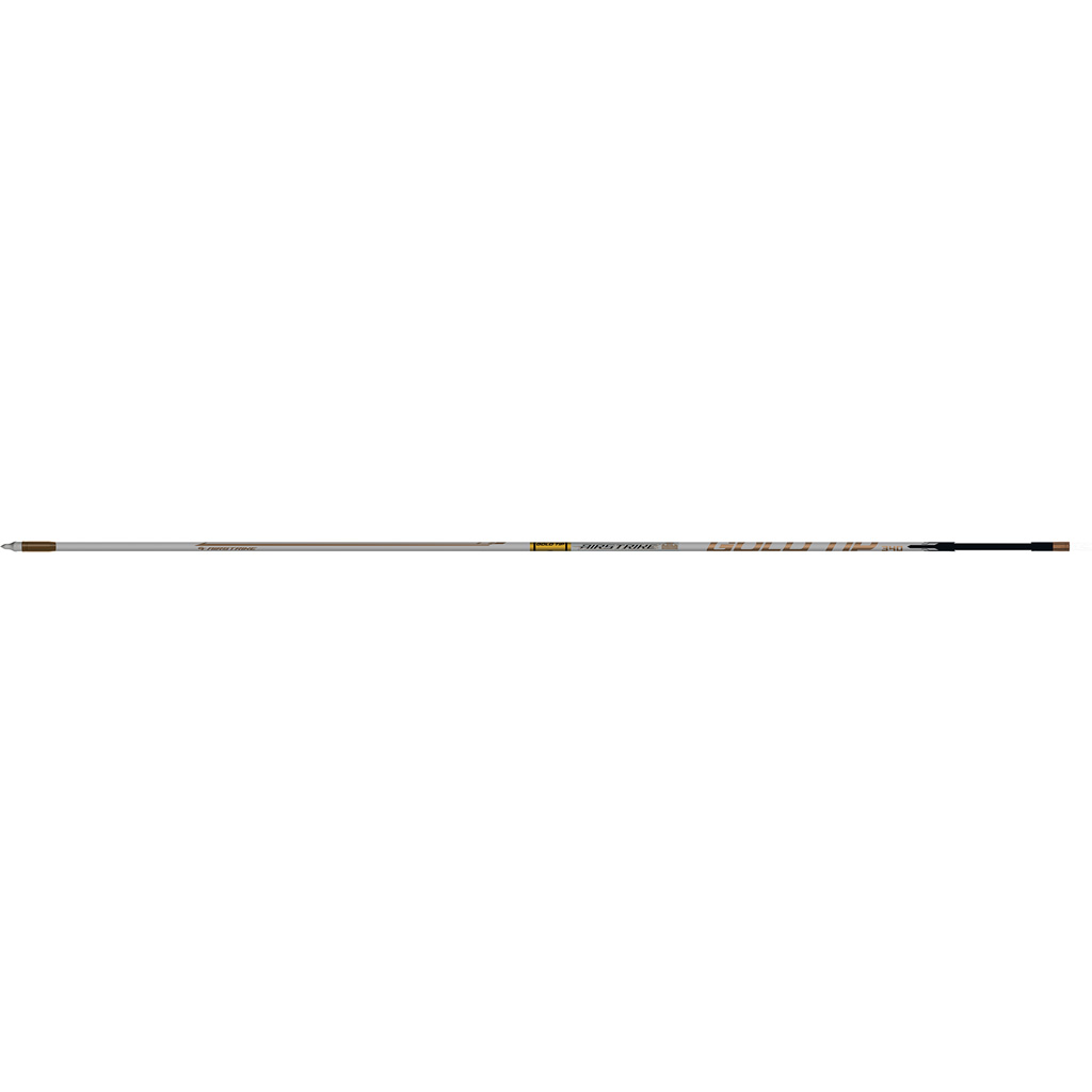 Gold Tip AS300A26 AirStrike Arrows 300 Raptor Vanes 6pk .204 Diameter