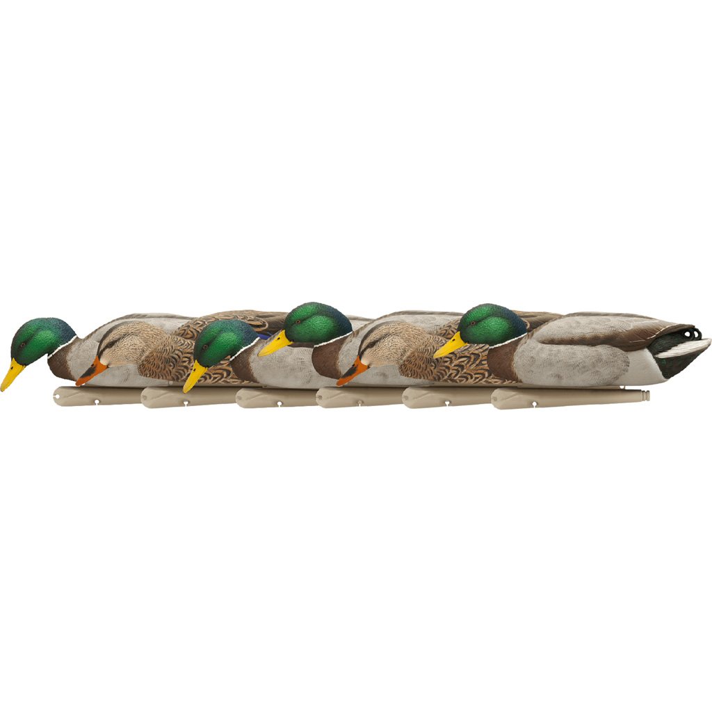 AvianX AVX8070 Top Flight Duck Decoys Backwater Mallards 6-Pack - Avian-X