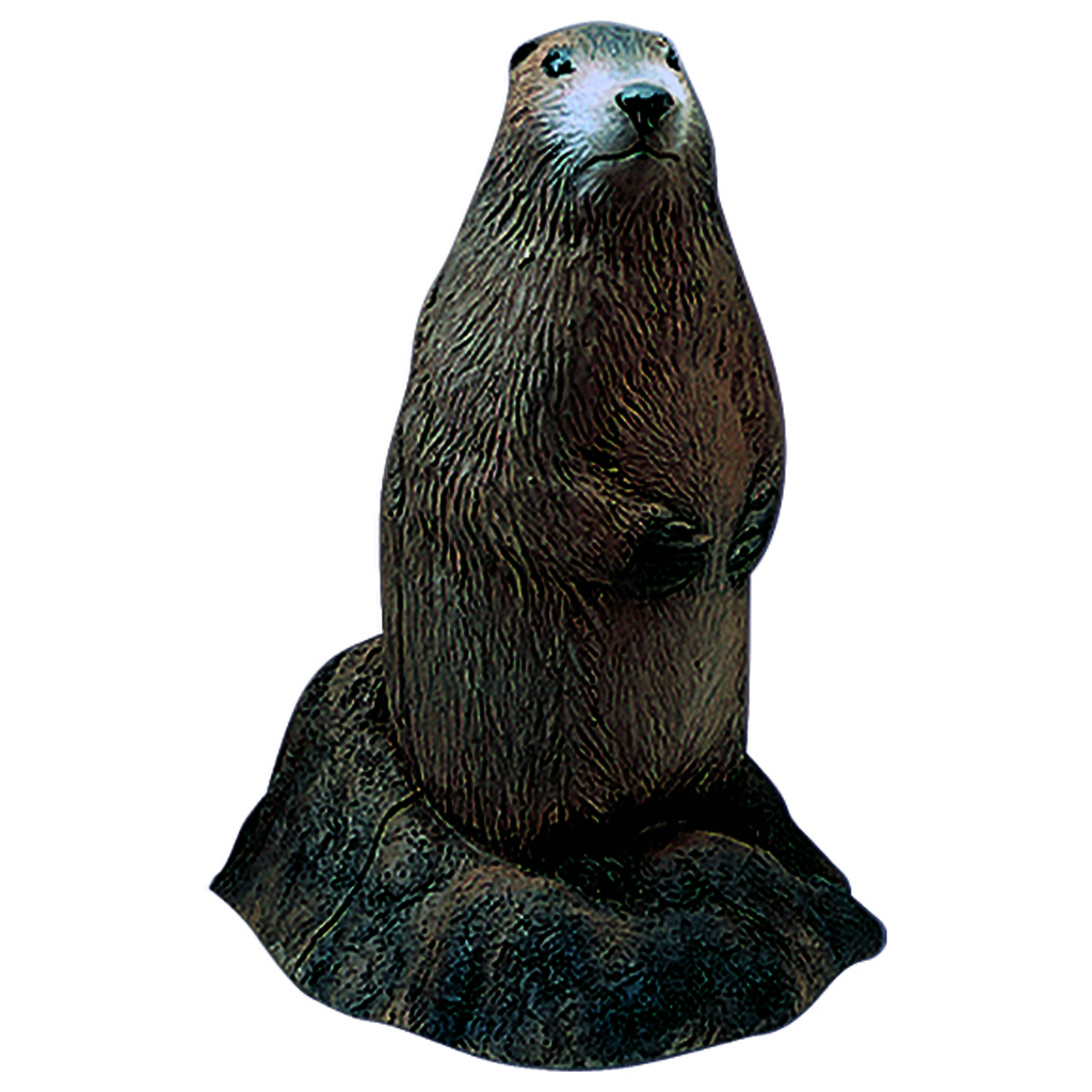 Delta McKenzie 50515 Backyard 3D Woodchuck Target, IBO Rings, 21"x15"x13"