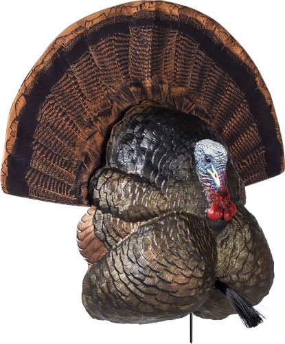 Flextone FGDCOY00316 Thunder Creeper Strutter Decoy with Folding Fan - GSM Outdoors