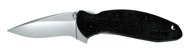 Kershaw 1620 Scallion Assisted Folding Knife - 2.4in 420HC Drop Point Blade, Glass-Filled Nylon Handle - Kershaw