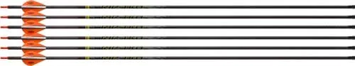 Victory RIPTKE-400FB-6 Arrows 400 Spine 2" Vanes 6-Pack - Victory Archery