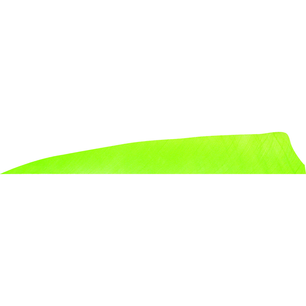 Gateway 400LSSCH-50 Shield Cut Feathers Chartreuse 4" LW 50 Pack