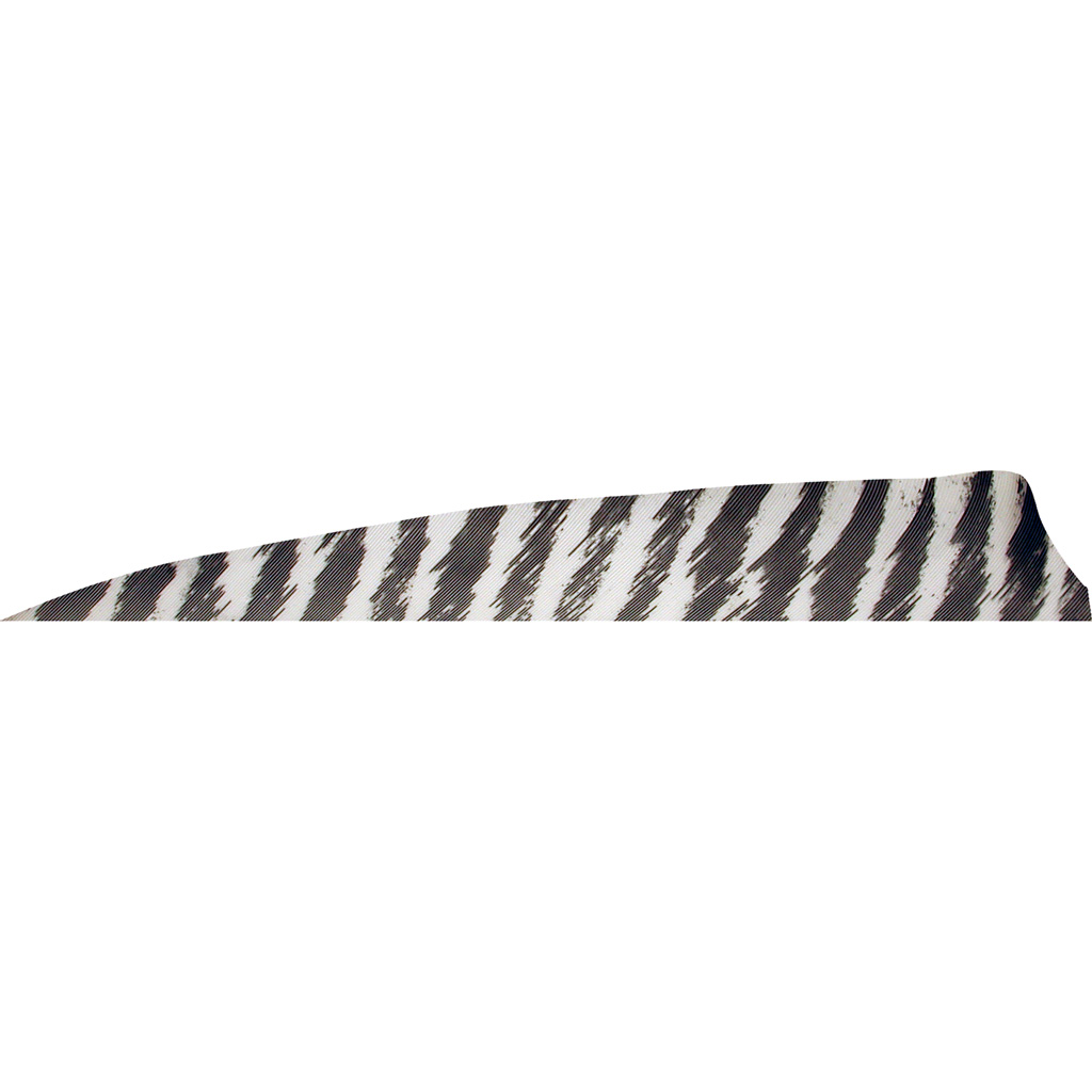 Gateway 400RSBWH-50 Shield Cut Feathers Barred White 4in RW 50pk