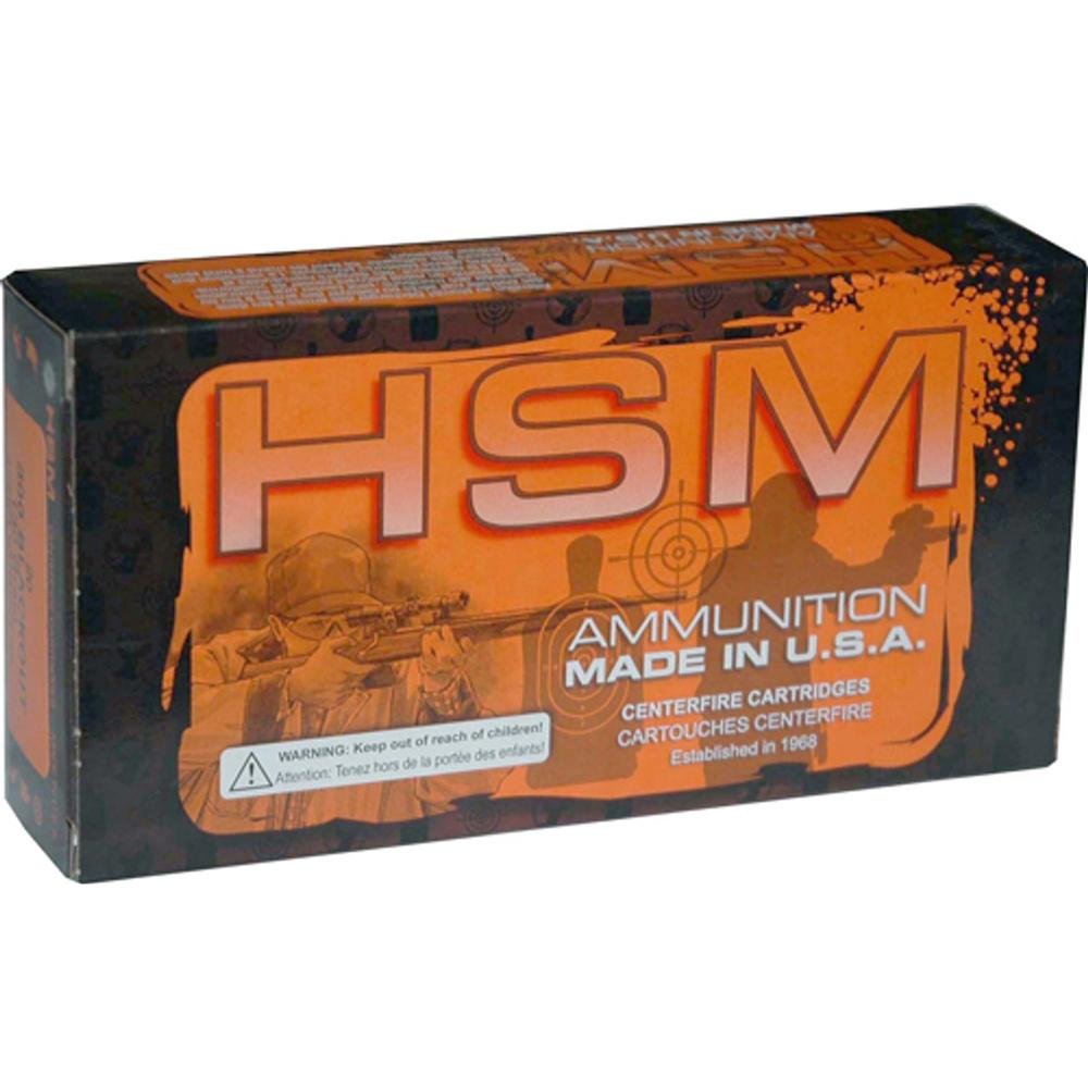 HSM HSM-50AE-2-N .50 AE 300gr HP 1340fps Handgun Ammo 20 Rounds
